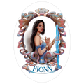Fionn Stickers