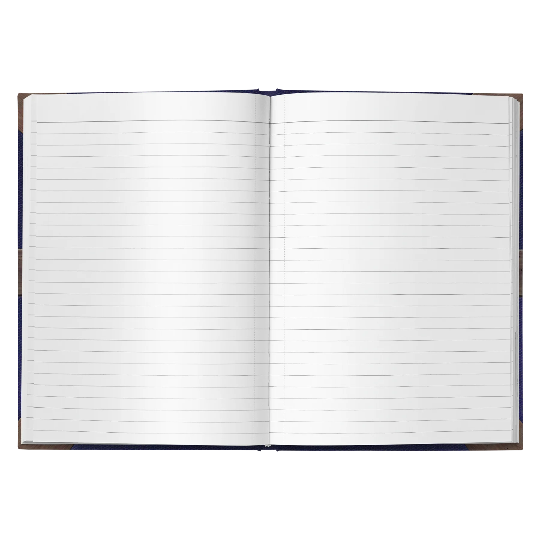 The Book of Werth journal, photo 3 of 5 — House of Werth notebook, art by Elsa Kroese, Charlotte E. English merch