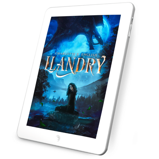 Llandry (Ebook)