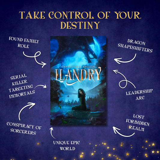 Llandry (Ebook)